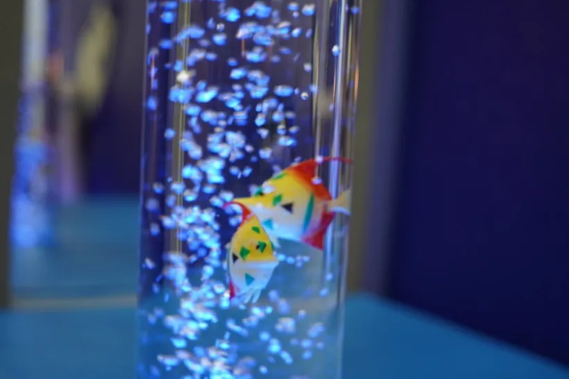 หลอดฟองอากาศใน Multisensory Room
